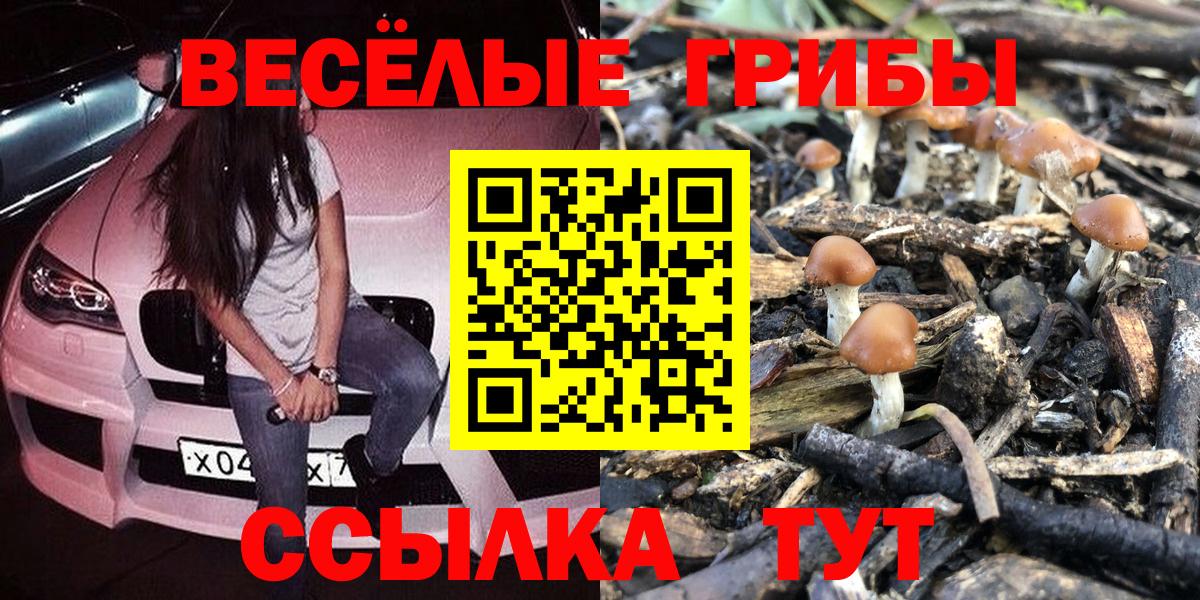Галлюциногенные грибы ЛСД Тобольск